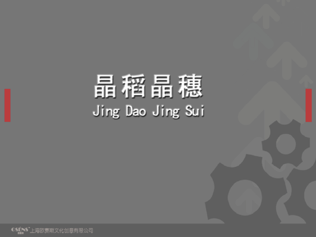 晶稻晶穗品牌设计规划手册-欧赛斯