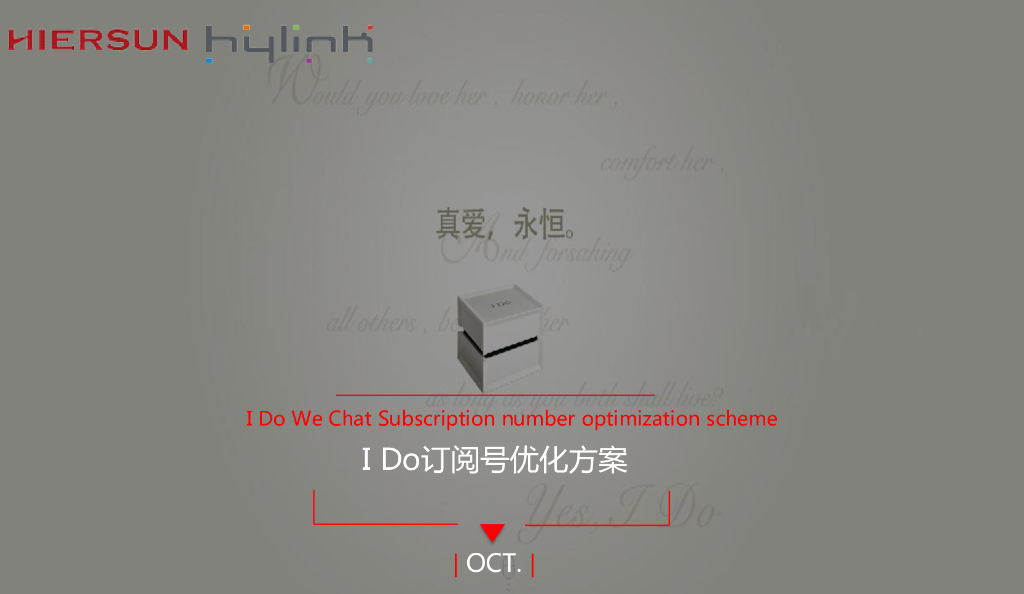 I Do订阅号年度整体规划方案