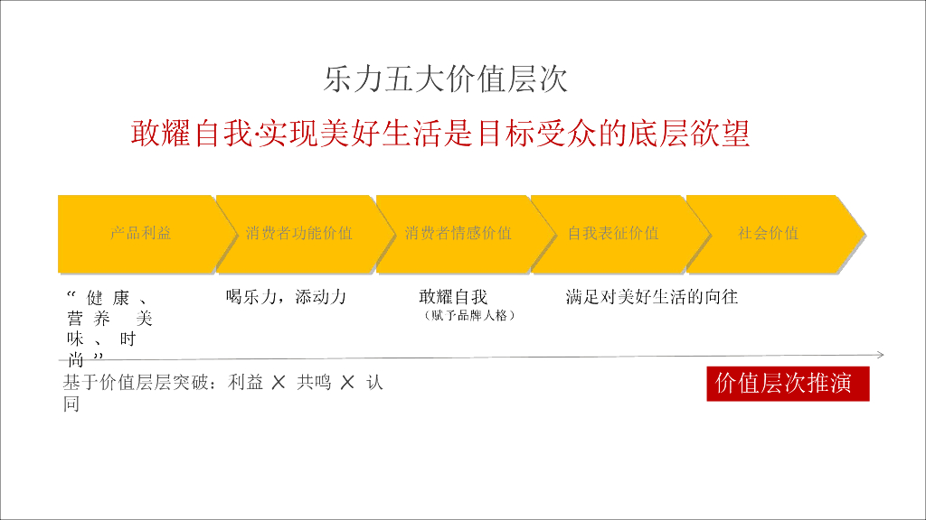 乐力数字营销策略_第10页