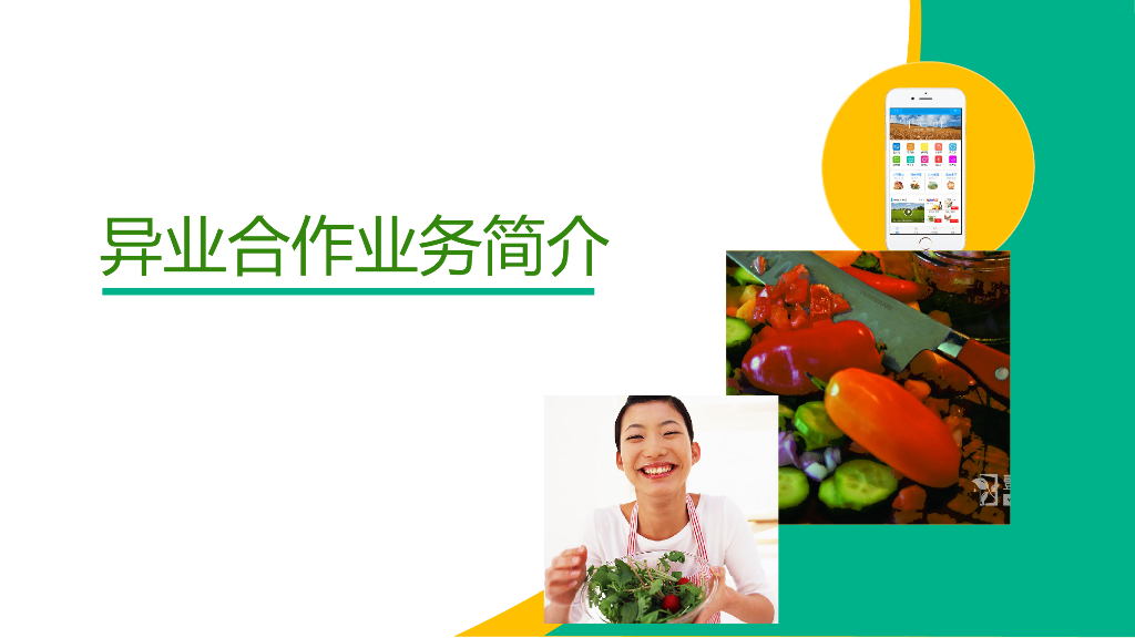 农业公司互联网 项目推广合作方案