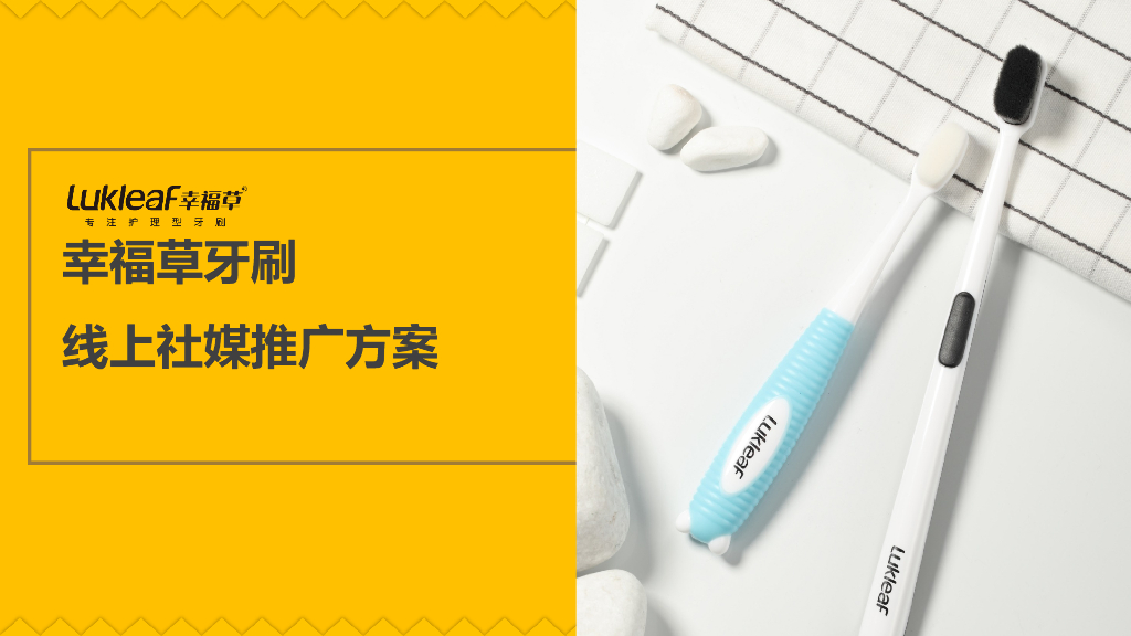 2018幸福草牙刷小红书线上社交媒体推广方案