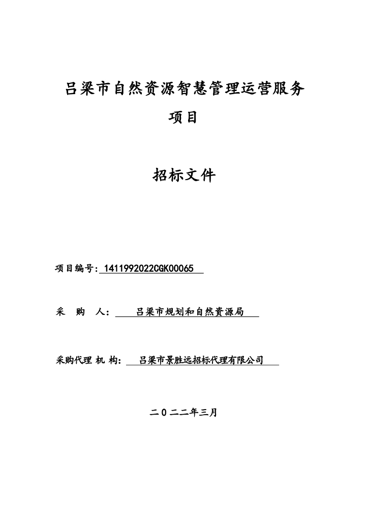 吕梁市自然资源智慧管理运营服务项目