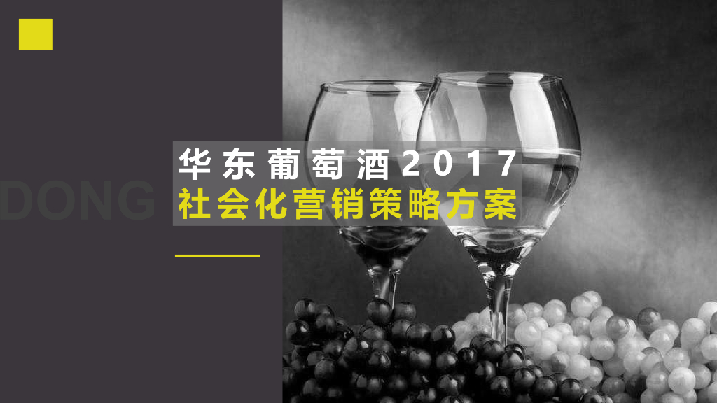 2017华东葡萄酒社会化营销方案