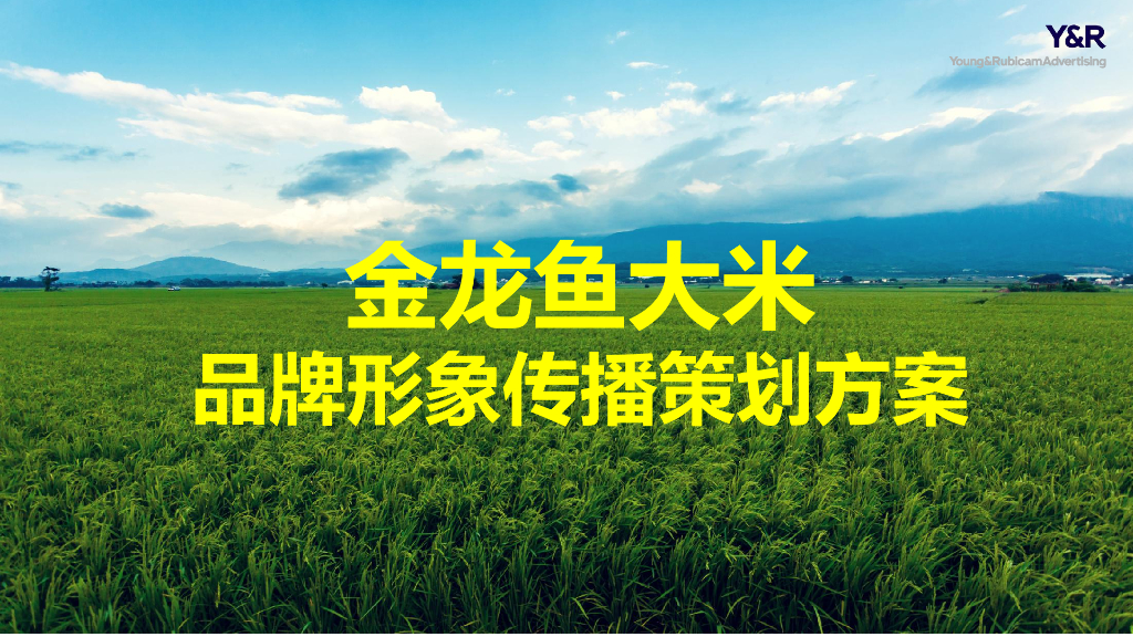金龙鱼大米品牌传播策划方案