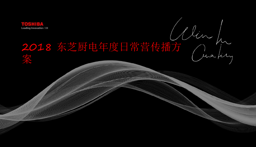 2018东芝厨电年度日常传播方案