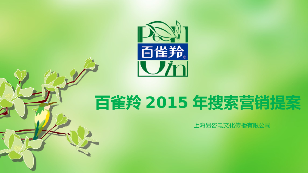 2015百雀羚搜索营销方案-易咨电