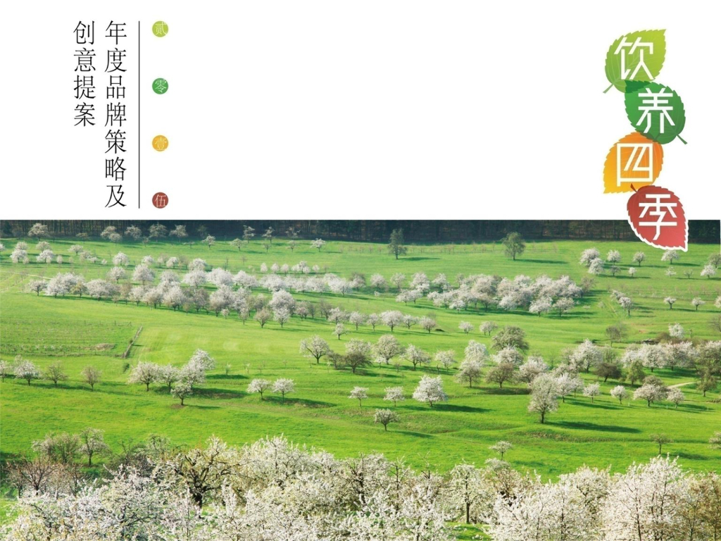 2016冰糖雪梨年度传播策略及创意-WE