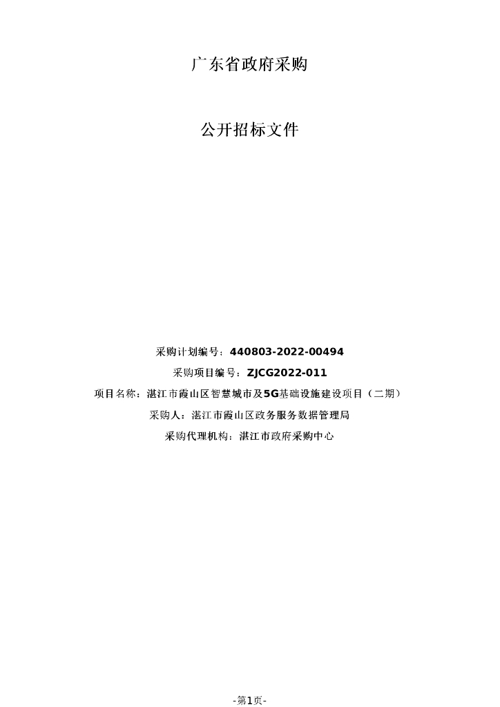 湛江市霞山区智慧城市及5G基础设施建设项目（二期）