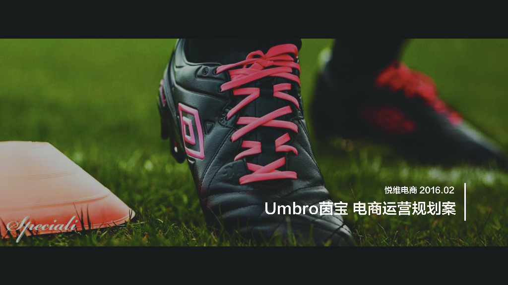 2016Umbro茵宝电商运营规划案