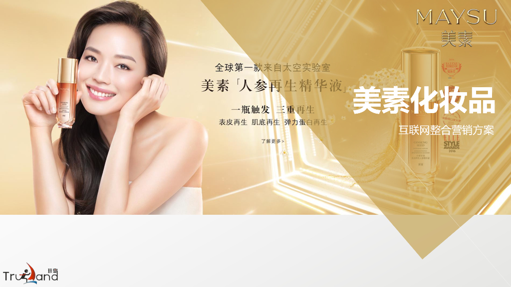 美素化妆品互联网整合营销方案