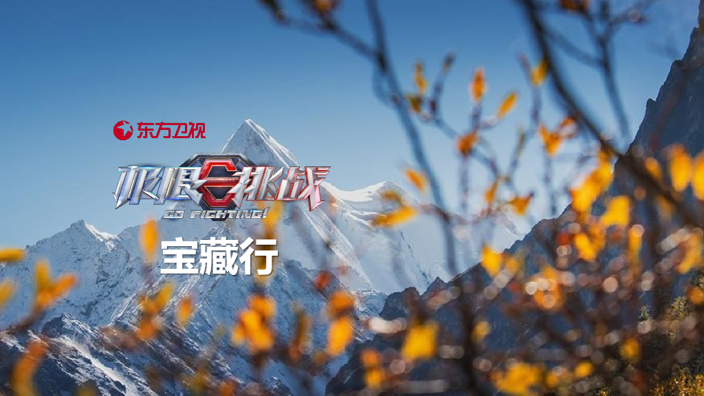 2020《极限挑战·宝藏行》合作方案