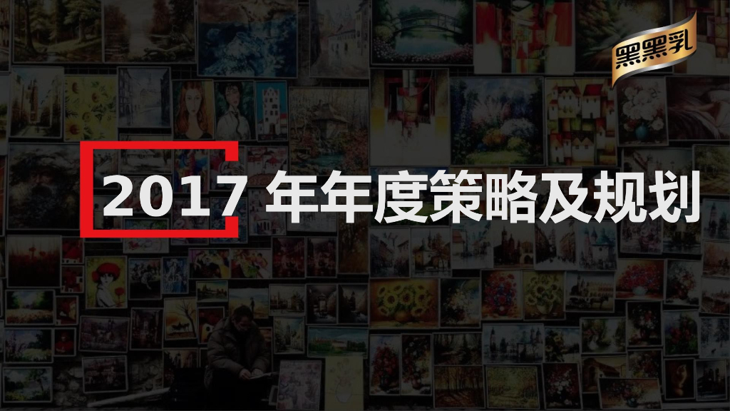 2017黑黑乳-品牌营销策略及规划
