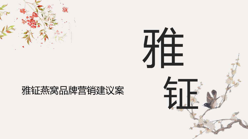 雅钲燕窝品牌营销建议方案