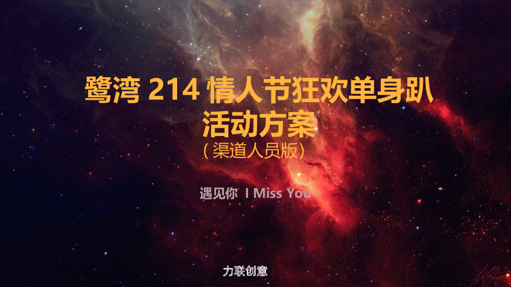 2017鹭湾情人节狂欢单身趴活动方案