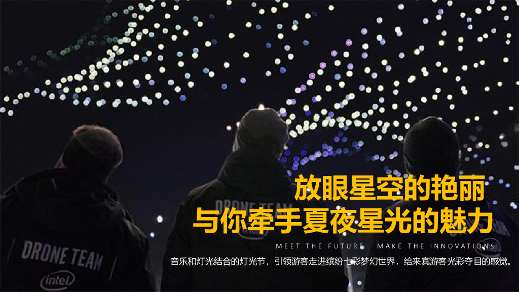 香港绿地肇庆养生谷灯光秀 欢乐大马戏活动策划案_第9页