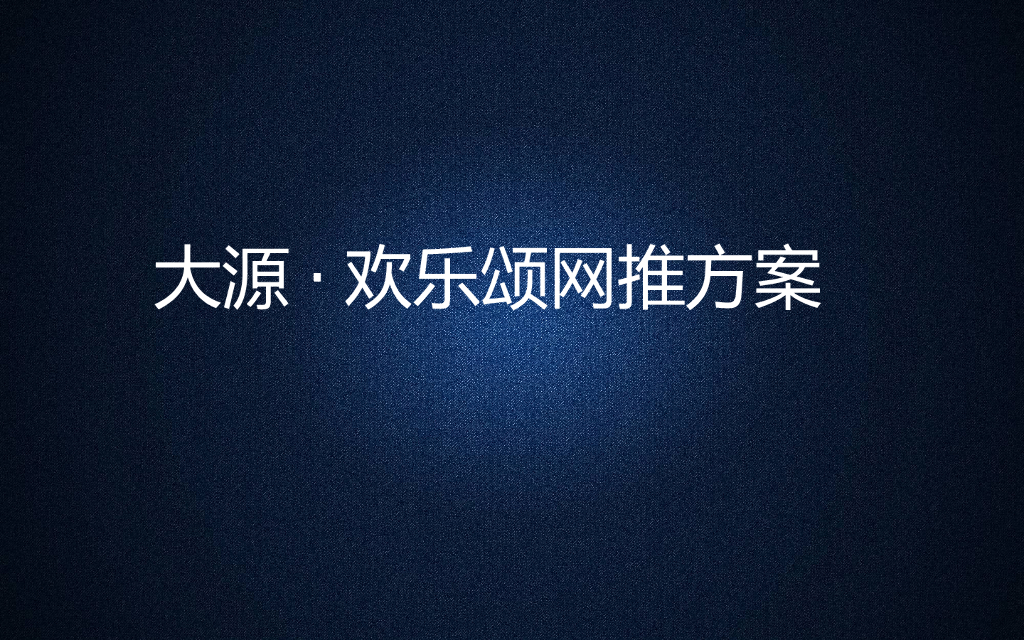 2017年大源欢乐颂年度网推方案