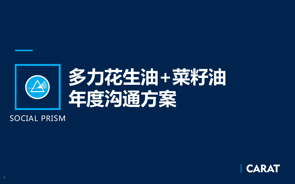 多力花生油沟通与传播-执行方案