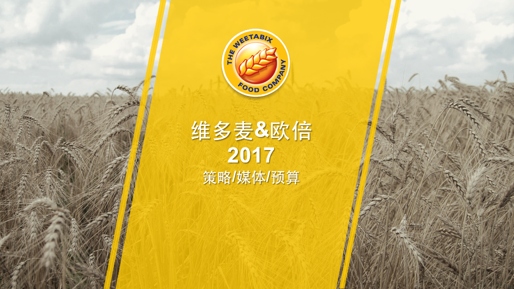 2017维多麦数字营销方案-媒体 预算部分