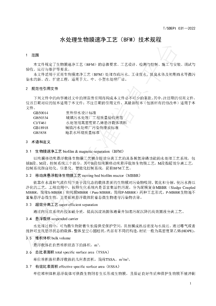 T/SDEPI 031-2022 标准预览
