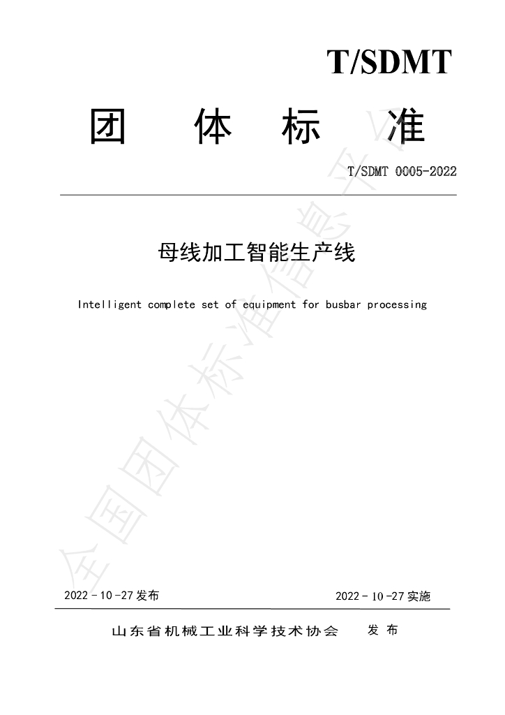 T/SDMT 0005-2022 标准预览