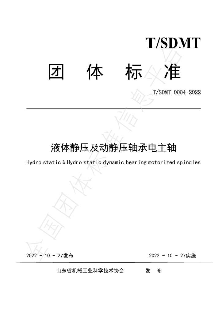 T/SDMT 0004-2022 标准预览