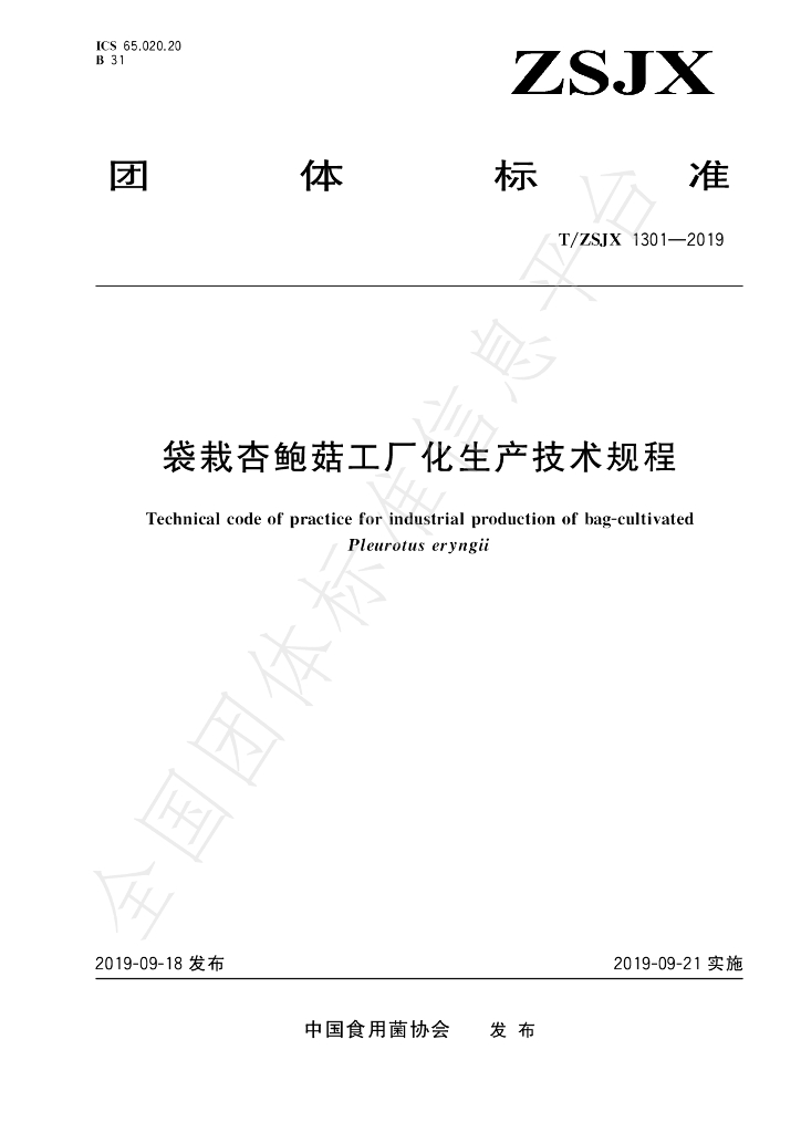 T/ZSJX 1301-2019 标准预览
