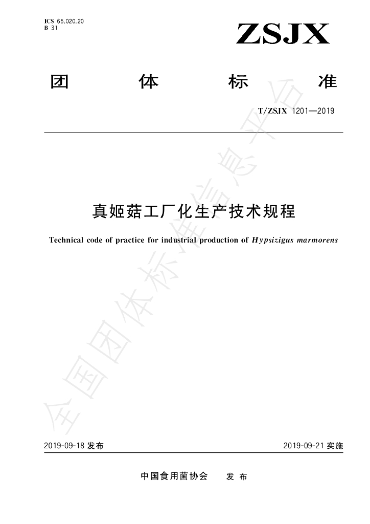 T/ZSJX 1201-2019 标准预览