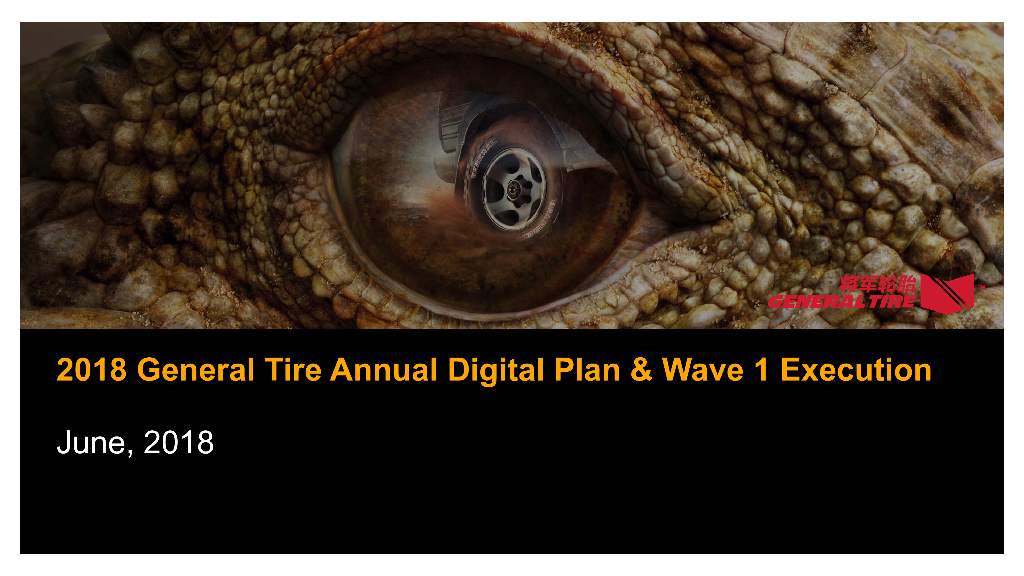 2018 General Tire Annual Digital Campaign Plan  Wave 1