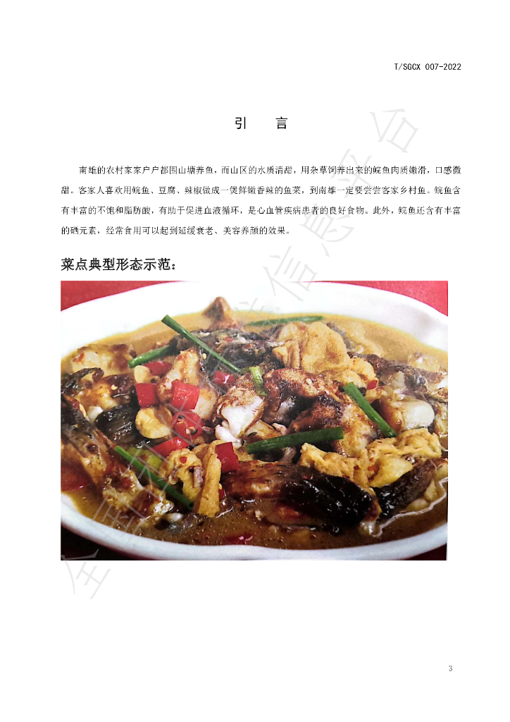 T/SGCX 007-2022 标准预览