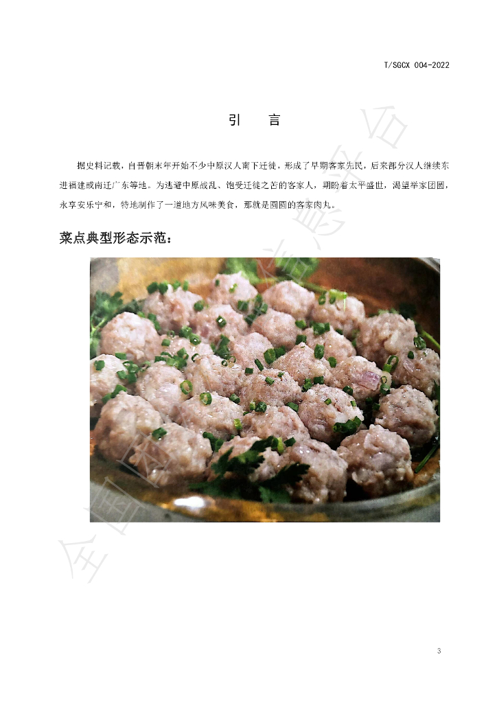T/SGCX 004-2022 标准预览