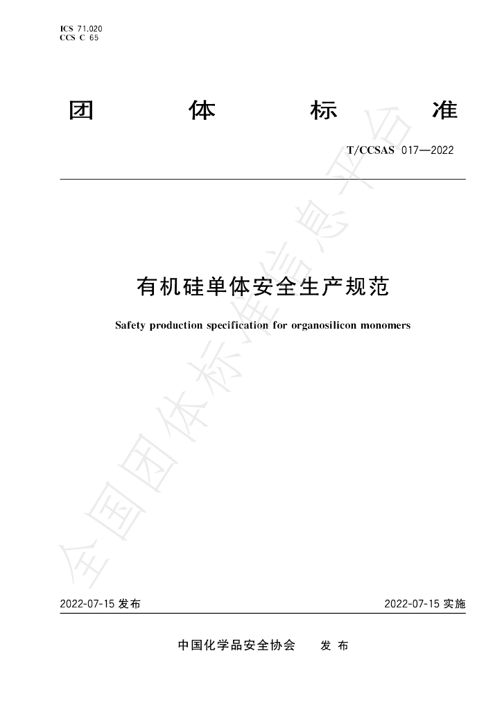 T/CCSAS 017-2022 标准预览