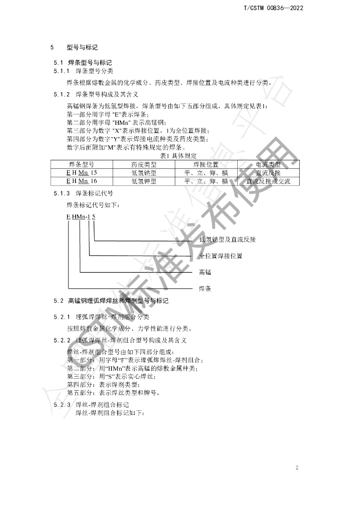 T/CSTM 00836-2022 标准预览