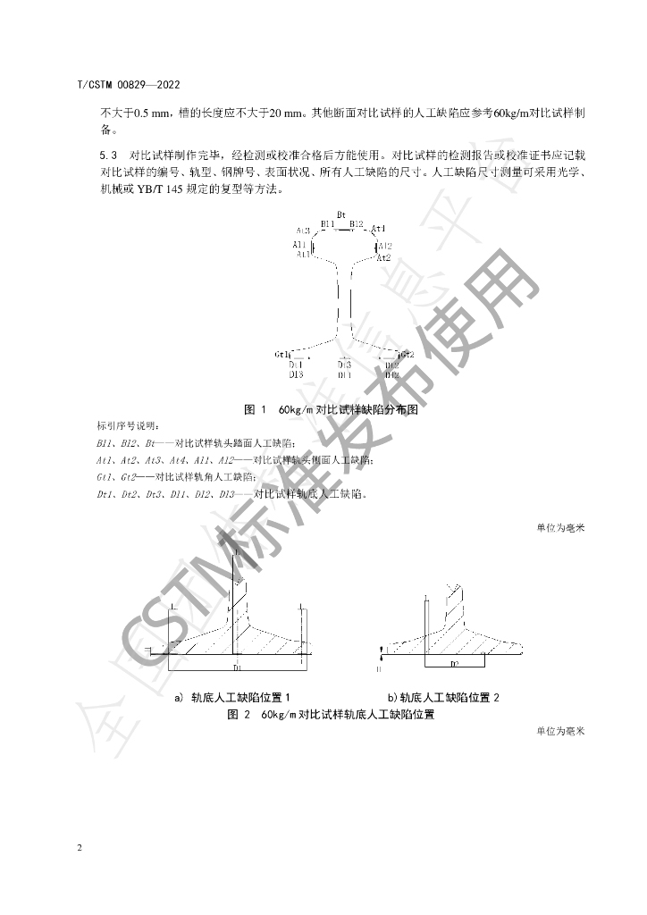 T/CSTM 00829-2022 标准预览