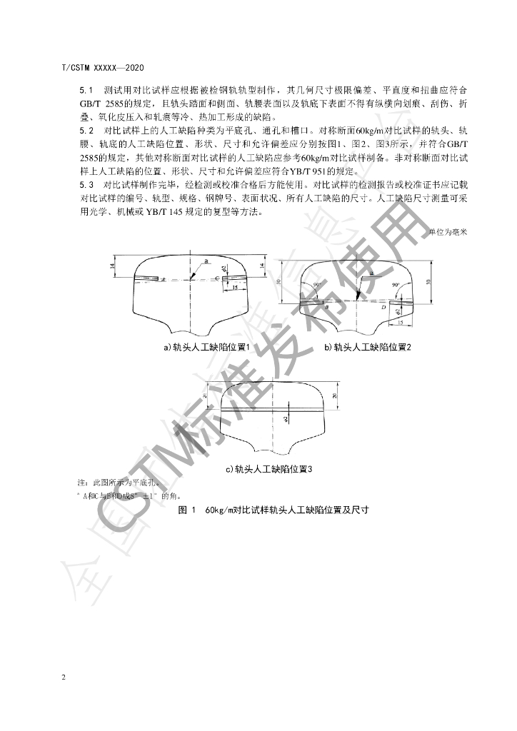 T/CSTM 00828-2022 标准预览