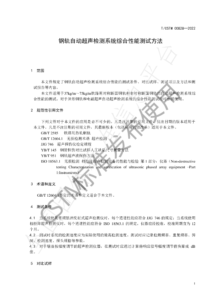 T/CSTM 00828-2022 标准预览