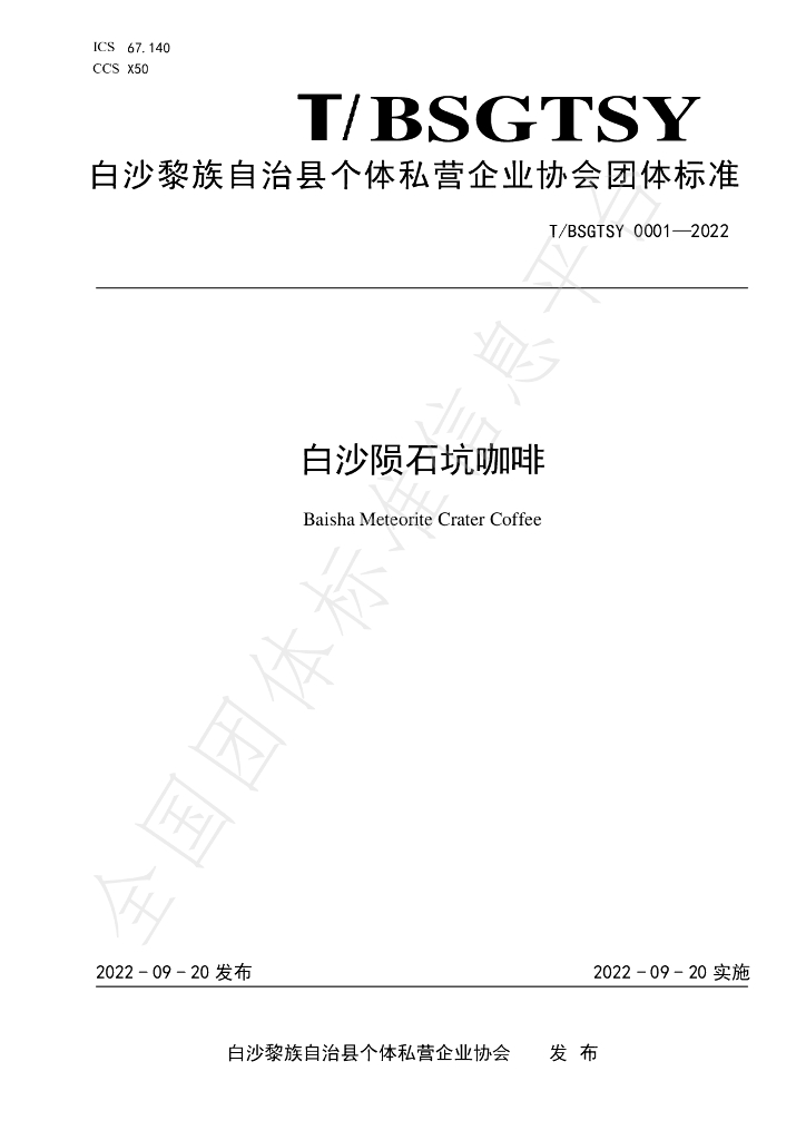 T/BSGTSY 0001-2022 标准预览