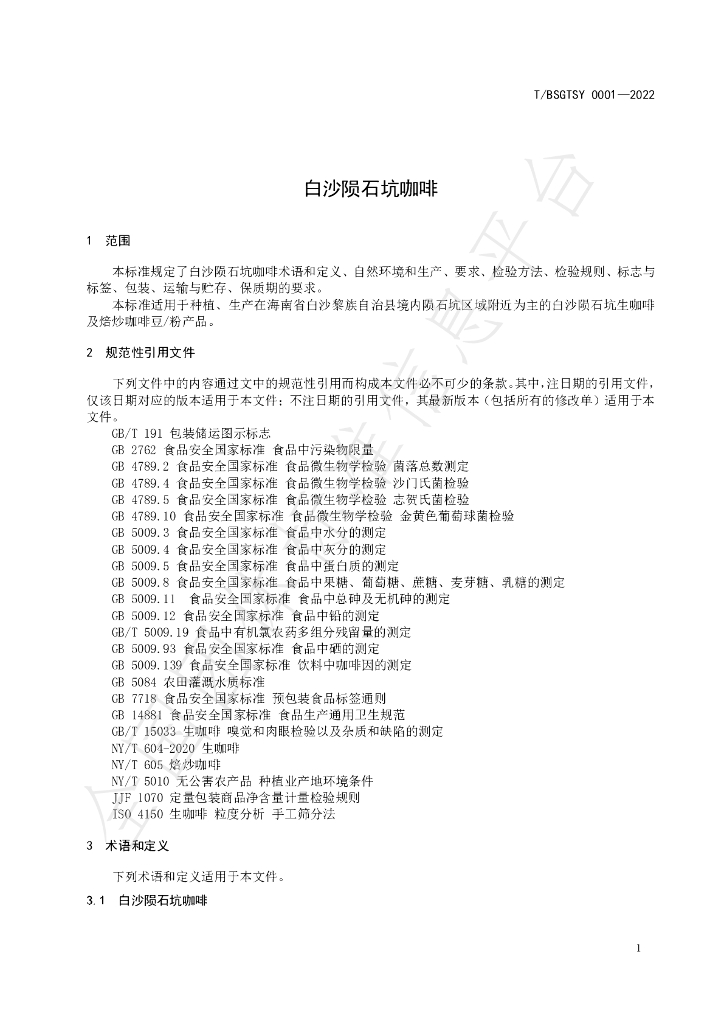 T/BSGTSY 0001-2022 标准预览