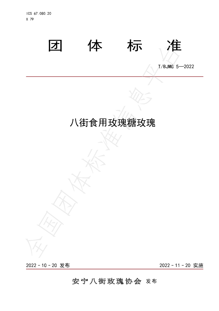 T/BJMG 5-2022 标准预览