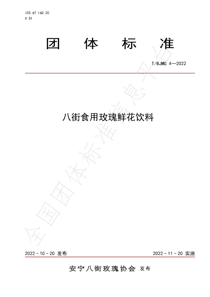 T/BJMG 4-2022 标准预览