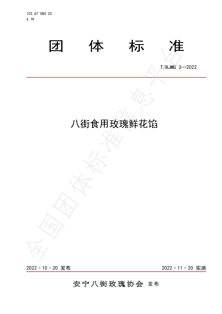 T/BJMG 3-2022 标准预览