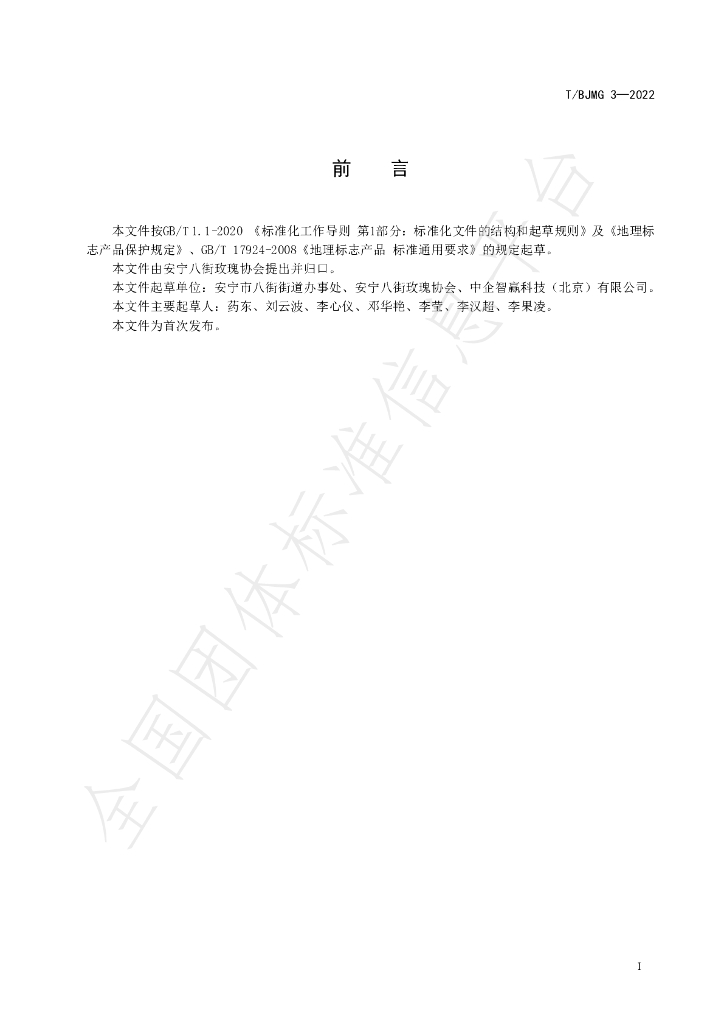 T/BJMG 3-2022 标准预览