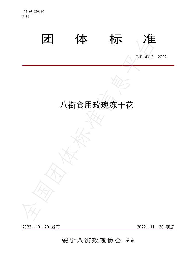 T/BJMG 2-2022 标准预览