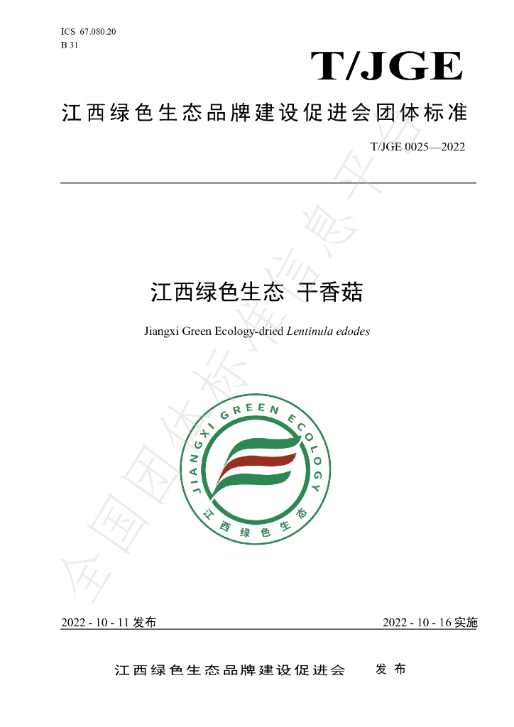 T/JGE 0025-2022 标准预览