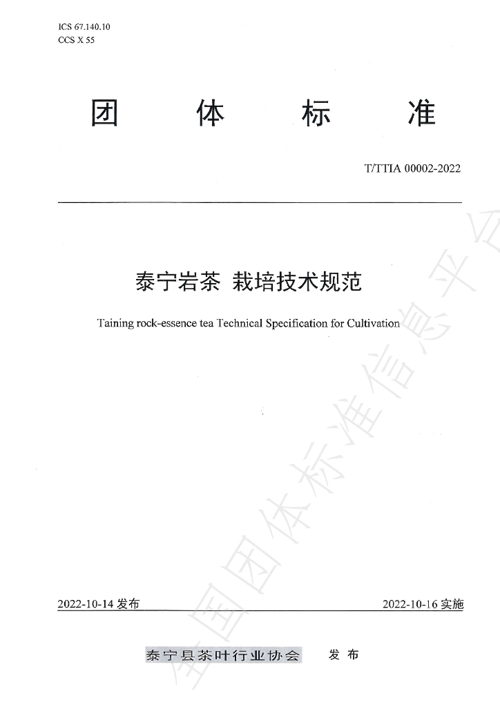 T/TTIA 00002-2022 标准预览