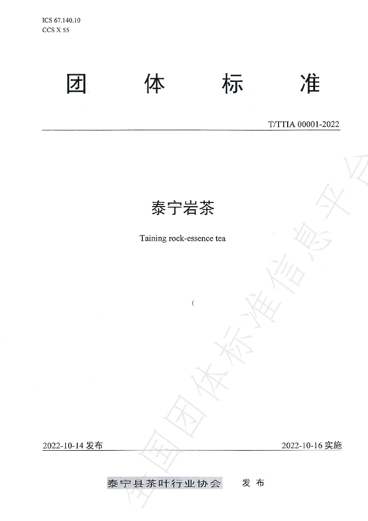 T/TTIA 00001-2022 标准预览