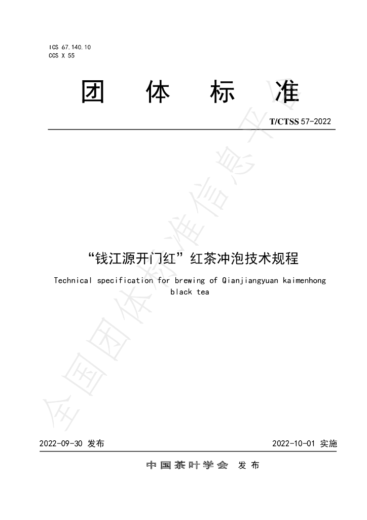 T/CTSS 57-2022 标准预览