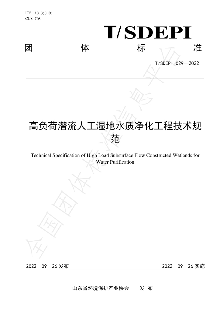 T/SDEPI 029-2022 标准预览