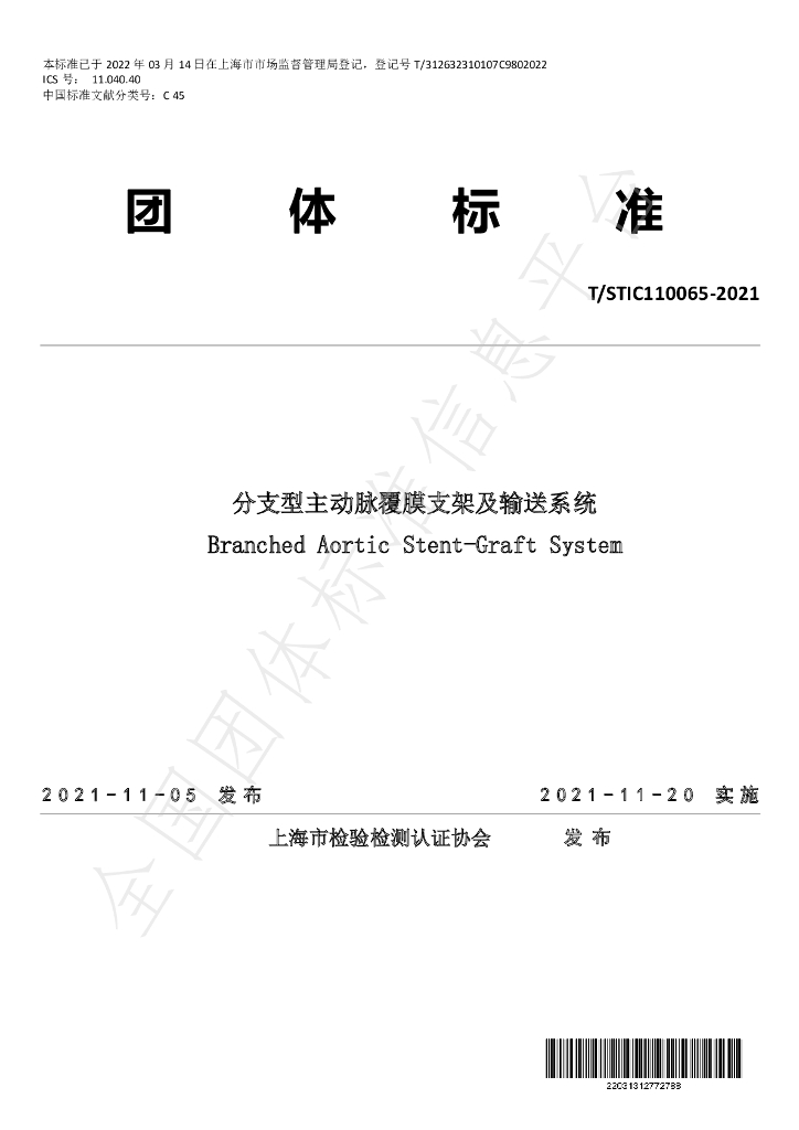 T/STIC 110065-2021 标准预览