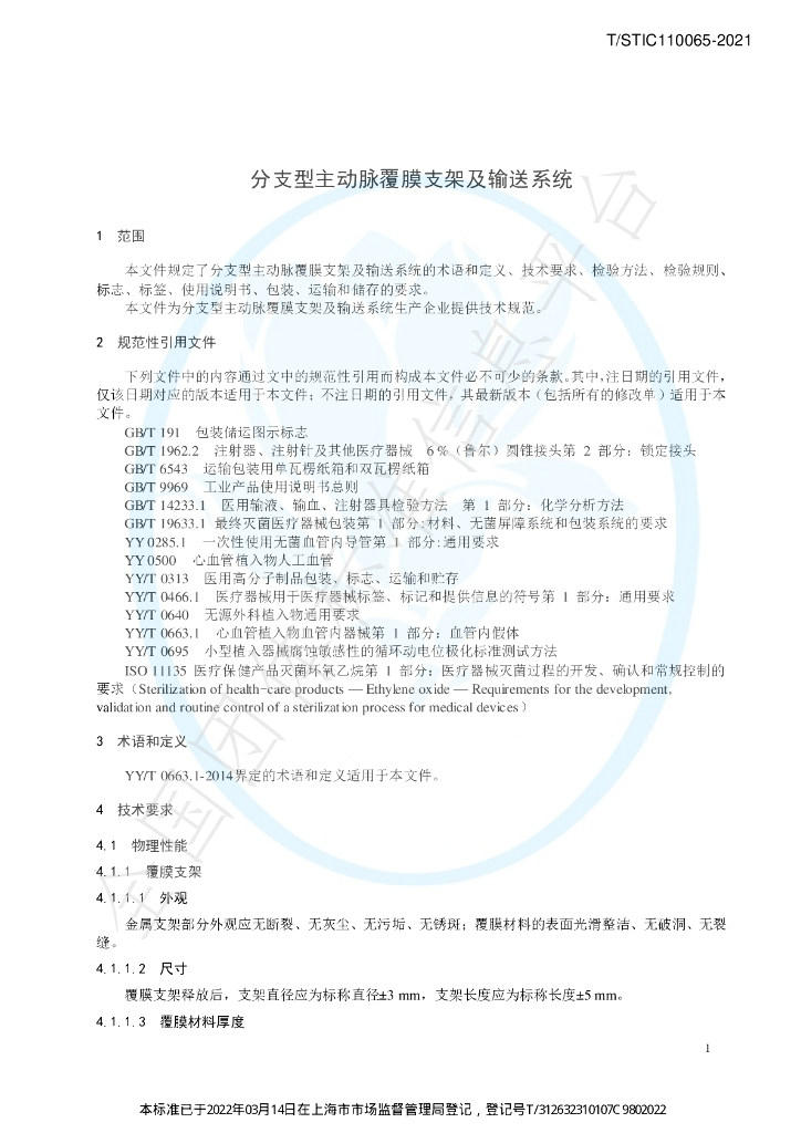 T/STIC 110065-2021 标准预览