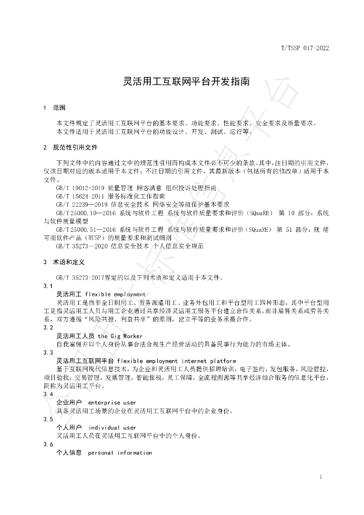 T/TSSP 0017-2022 标准预览